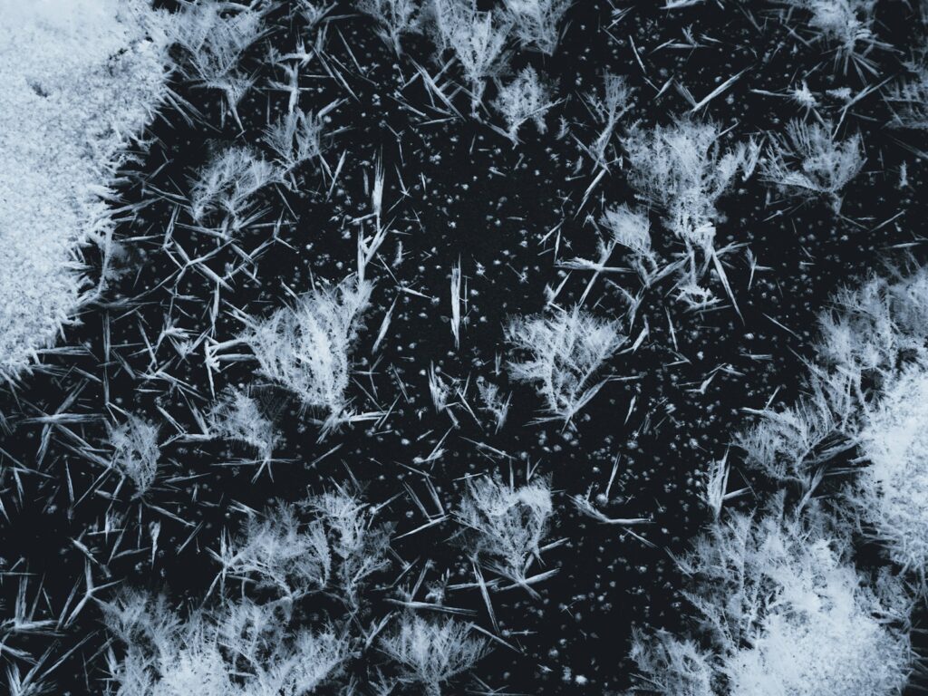 A black and white photo of a bunch of crystals